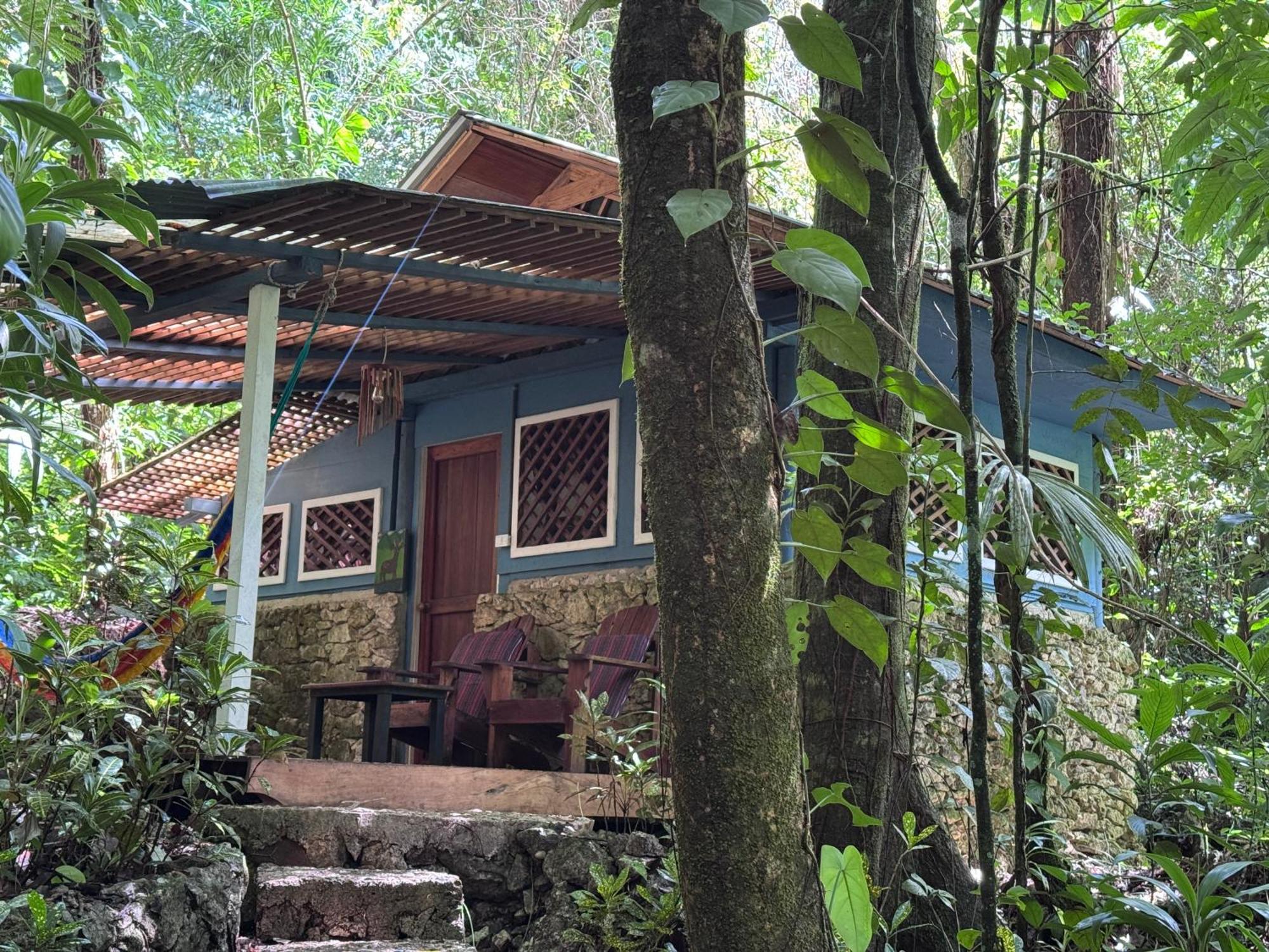 Finca Tatin Hotel Izabal المظهر الخارجي الصورة